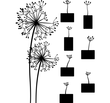 Løvetann bilder blomster veggoverføringsbilde - Tenstickers