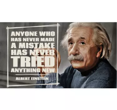 Feil einstein sitat dekal - Tenstickers