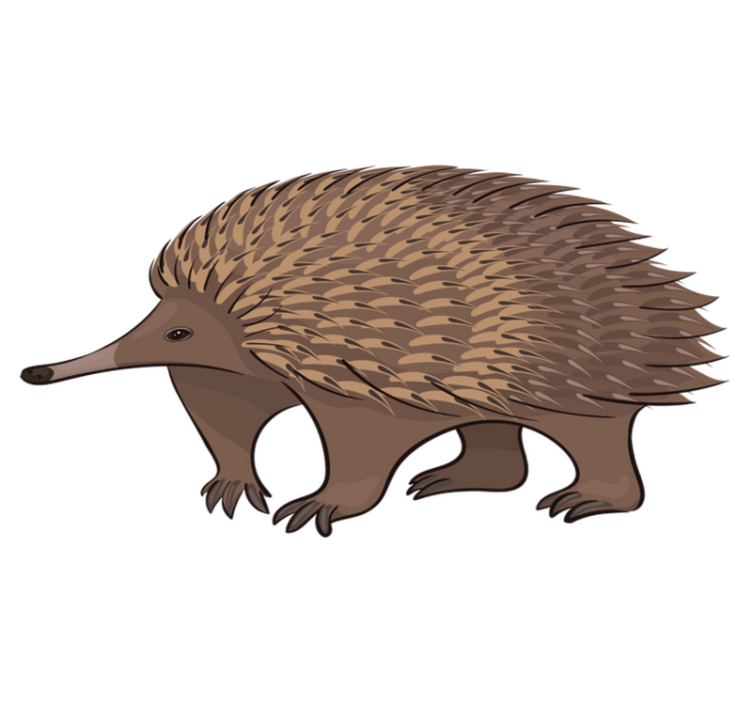 Vinyl teppe dyr vennlig pinnsvin karakter - Tenstickers