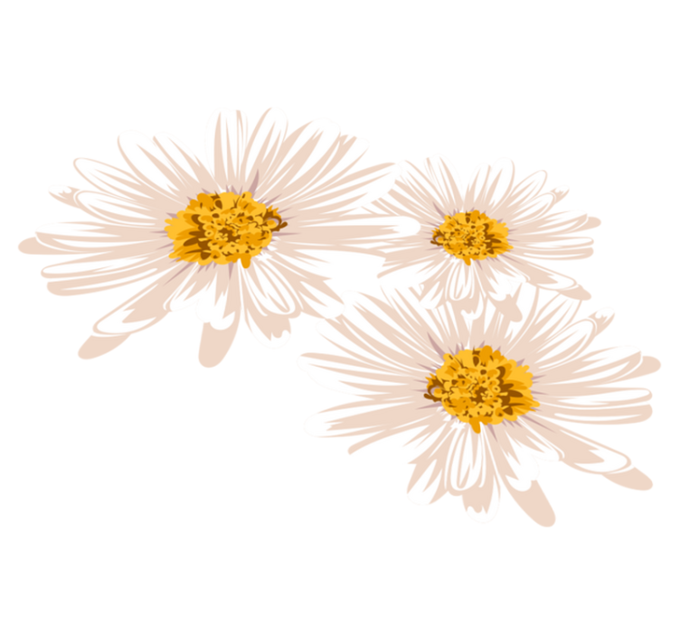 Sjarmerende blomsteroppsett vinyl teppe blomster og planter - Tenstickers