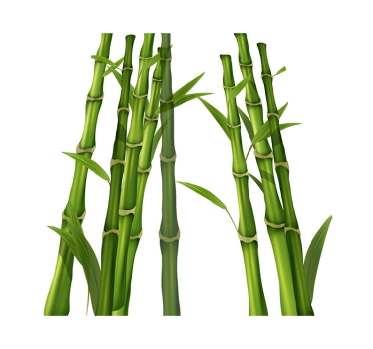 Bambusmønster bad vinyl teppe - Tenstickers