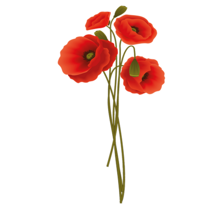 Bad vinyl teppe delikate valmuer - Tenstickers