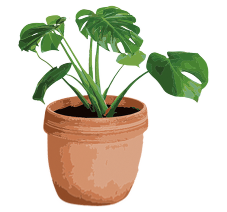 Vinyl teppe blomster og planter enkel monstera pot - Tenstickers
