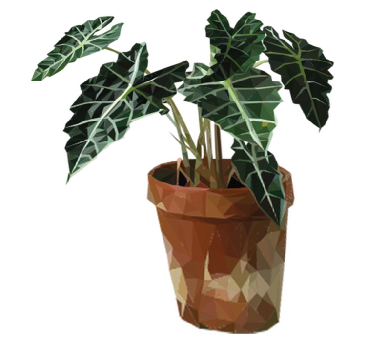 Vinyl teppe blomster og planter geometrisk potte - Tenstickers