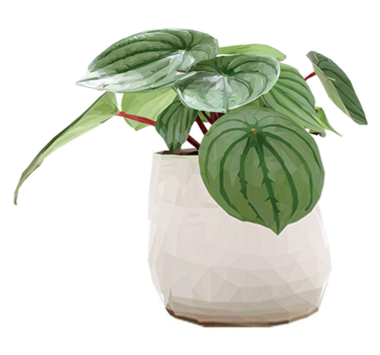 Vinyl teppe blomster og planter enkel hjemmplante - Tenstickers