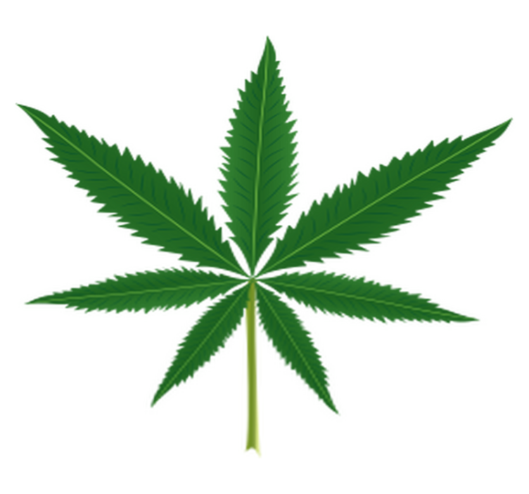 Vinyl teppe blomster og planter marihuana blad - Tenstickers