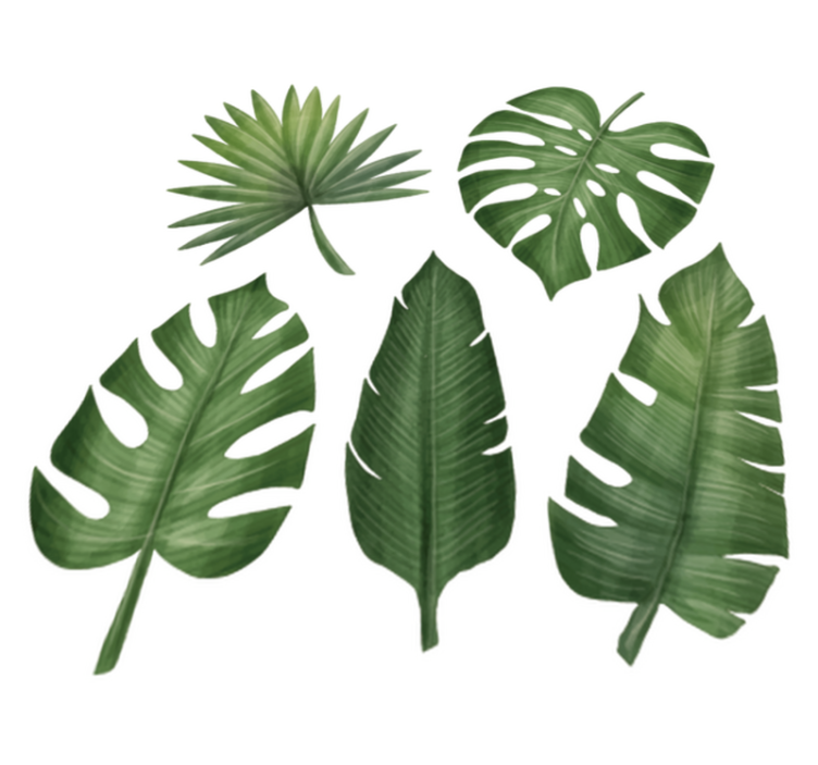 Store grønne blader vinyl teppe blomster og planter - Tenstickers