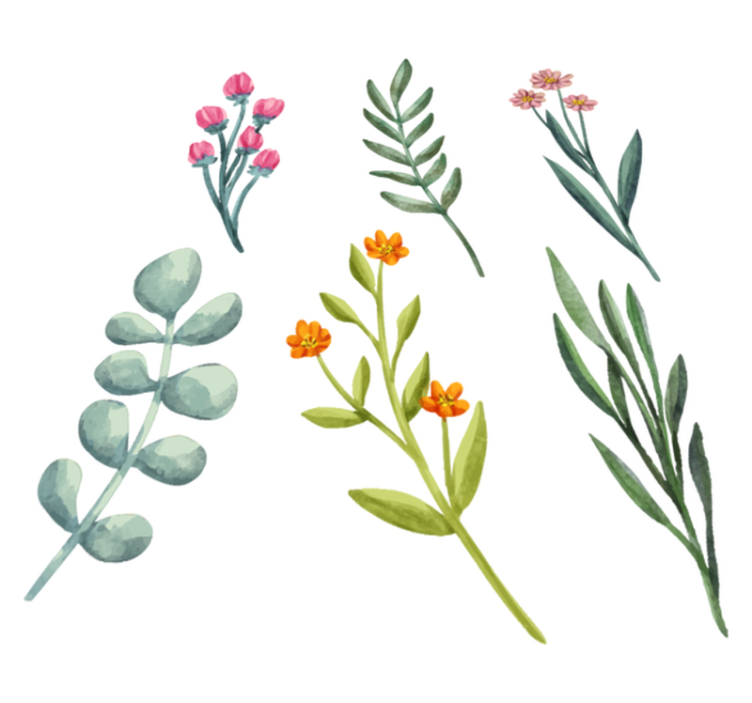 Planter og grener vinyl teppe blomster og planter - Tenstickers