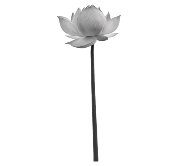 Vinyl teppe soverom lotus ensom blomst - Tenstickers