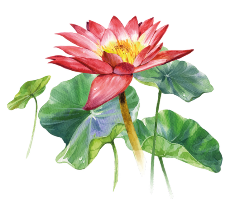 Lotus akvarell illusjon vinyl teppe soverom - Tenstickers