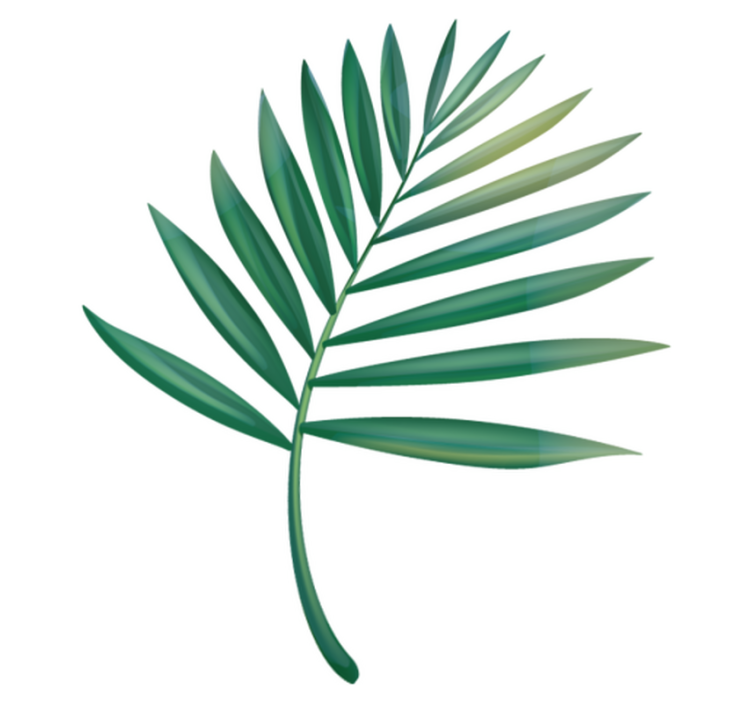 Leaf palm bad vinyl teppe - Tenstickers