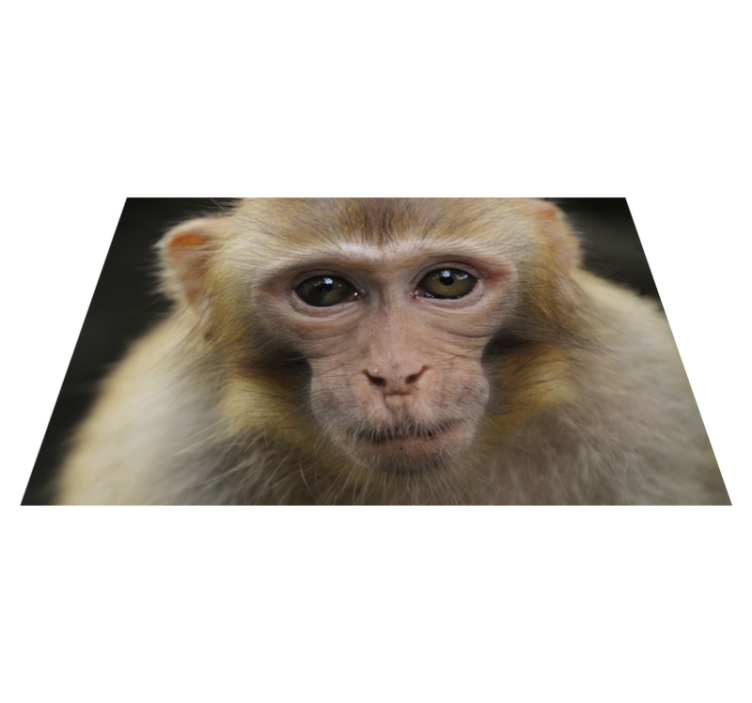Realistisk ape vinyl teppe dyr - Tenstickers