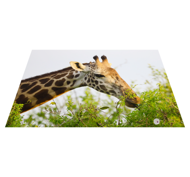 Dyr høyt giraffe vinyl teppe - Tenstickers