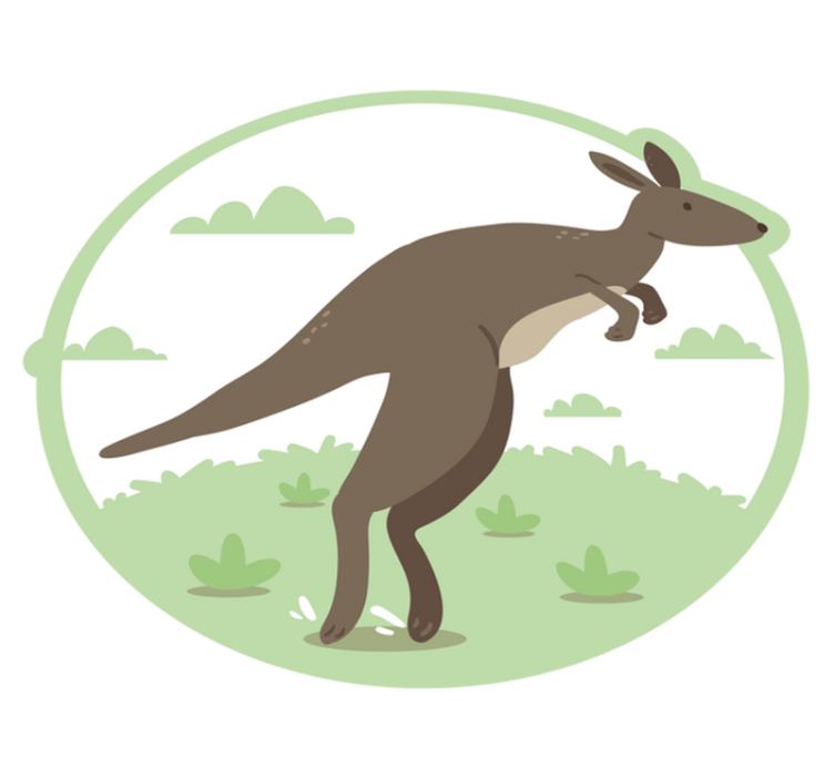 Hoppende kenguru tegneserie dyre vinyl teppe - Tenstickers