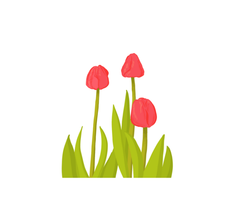 Levende tulipanblomst vinyl teppe blomster og planter - Tenstickers