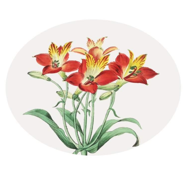 Fargerik lilje sammen blomster vinyl teppe - Tenstickers