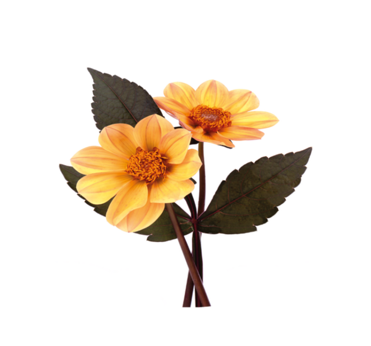 Gule blomster og svarte blader vinyl teppe rund - Tenstickers