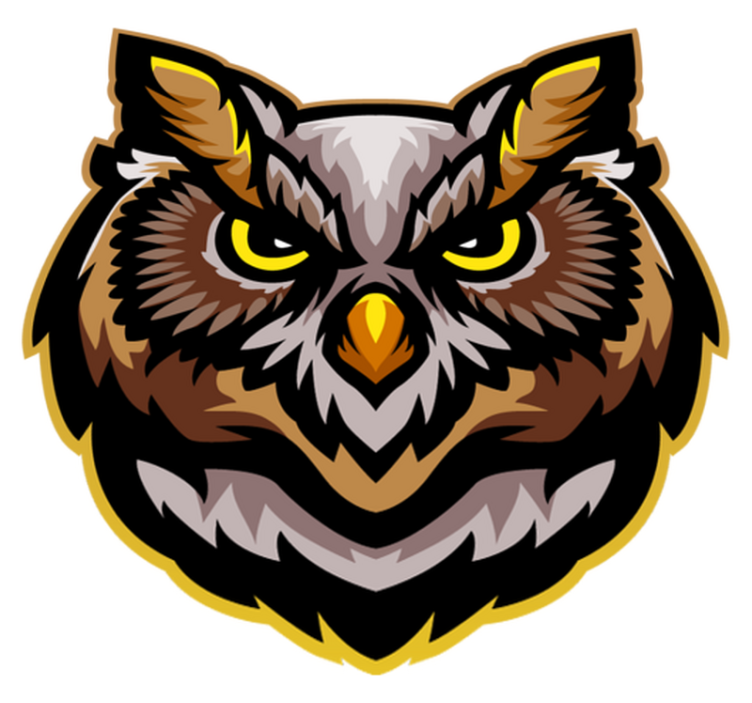 Sint brun ugle ansikt vinyl teppe soverom - Tenstickers