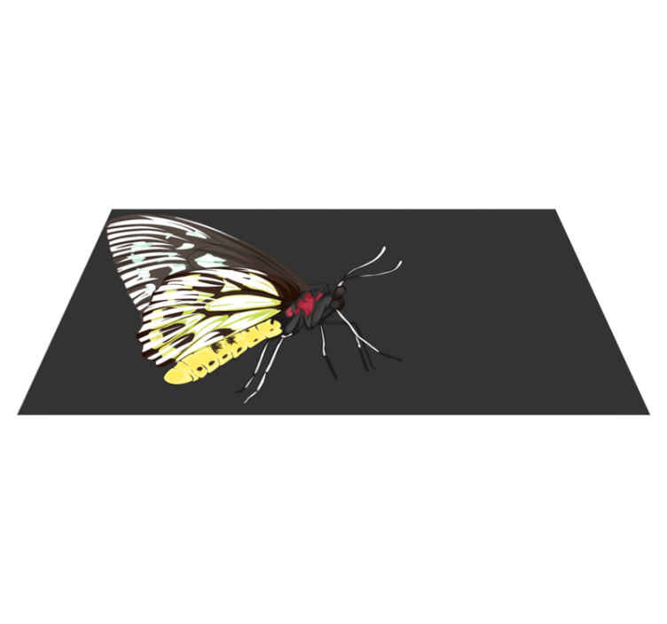 Sommerfuglbilder vinyl teppe natur - Tenstickers