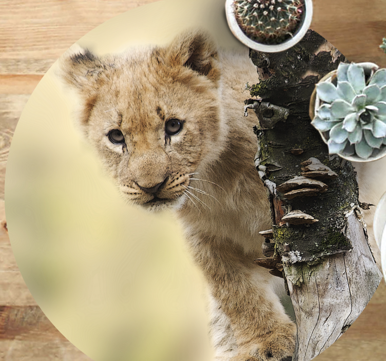 Dyr søt liten løve vinyl teppe - Tenstickers