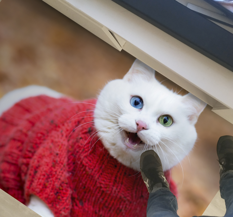 Dyr søt smilende katt dyreteppe - Tenstickers