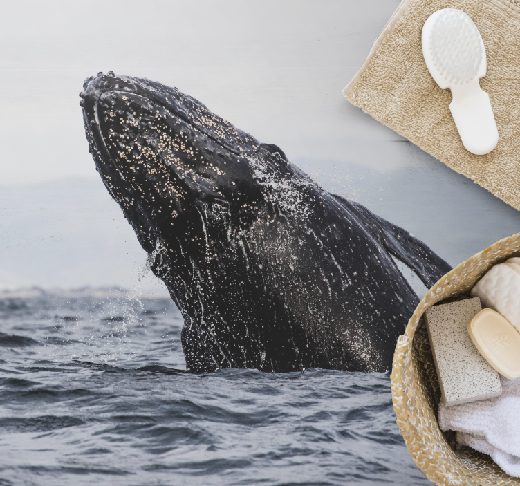 Dyrehval i sjødyrteppet - Tenstickers