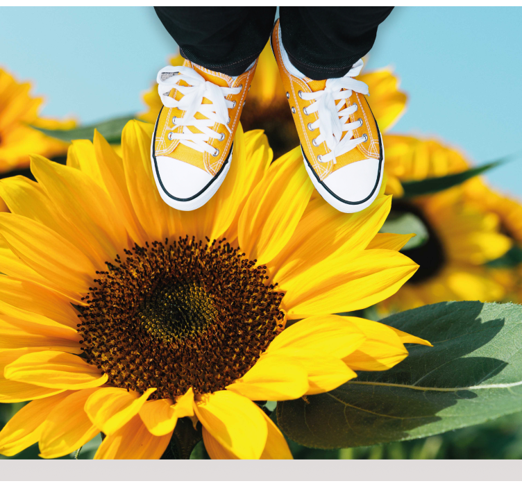 En solblomst nærbilde blomster vinyl teppe - Tenstickers