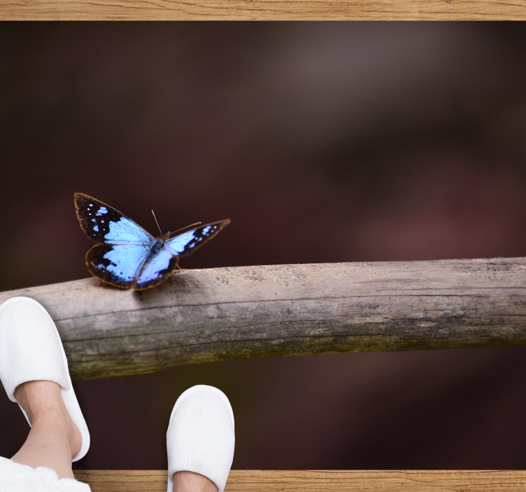 Sommerfugl på gren vinyl teppe natur - Tenstickers