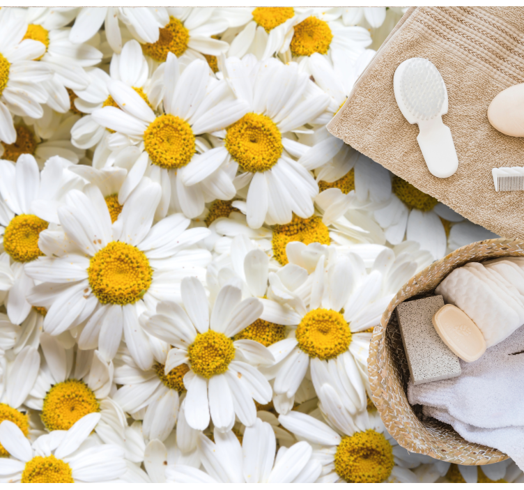 Tusenfryd blomster bilde blomsterteppe - Tenstickers