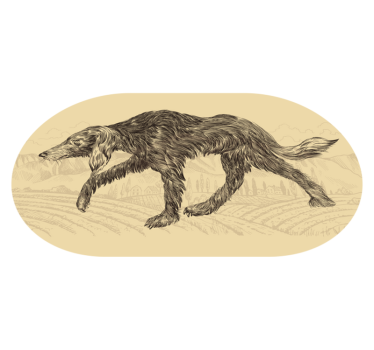 Gamle slitne hundekjøkkengulv - Tenstickers
