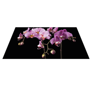 Orkide svart bakgrunn blomsterteppe - Tenstickers