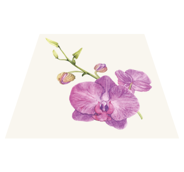 Illustrert orkidé hvit bakgrunn blomsterteppe - Tenstickers
