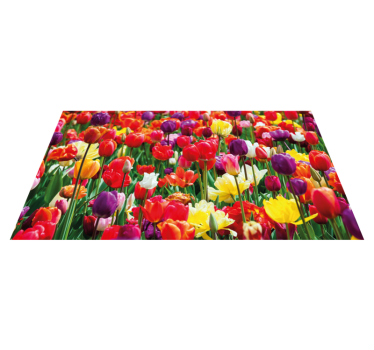 Forskjellige tulipaner feltblomsteteppe - Tenstickers
