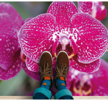 Lilla orkide nærbilde blomsterteppe - Tenstickers