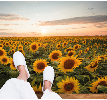 Solblomst soloppgang blomsterteppe - Tenstickers