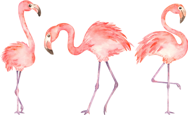 Vinyl teppe dyr elegant flamingo trio - Tenstickers