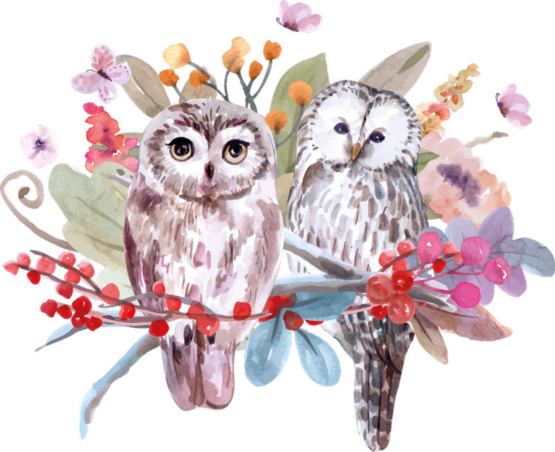 Vinyl teppe dyr ugle i naturen - Tenstickers