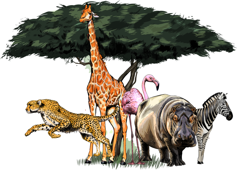 Vinyl teppe dyr giraffefamilie safari - Tenstickers