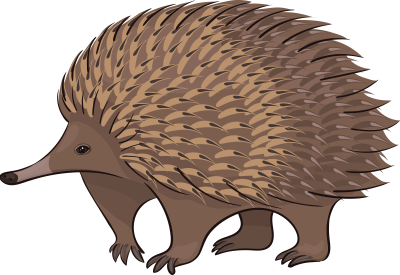 Vinyl teppe dyr vennlig pinnsvin karakter - Tenstickers