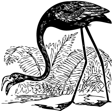 Vinyl teppe dyr flamingo med bregner - Tenstickers