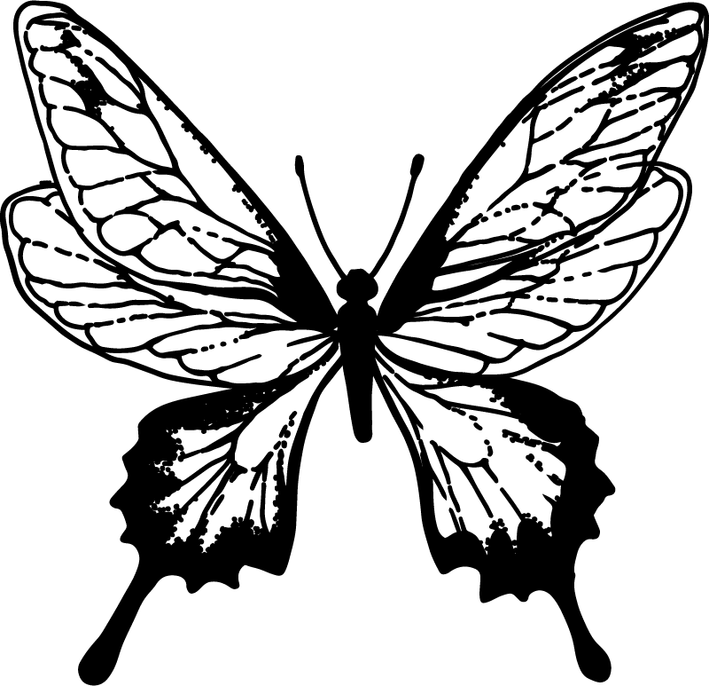 Vinyl teppe dyr elegant sommerfugl omriss - Tenstickers