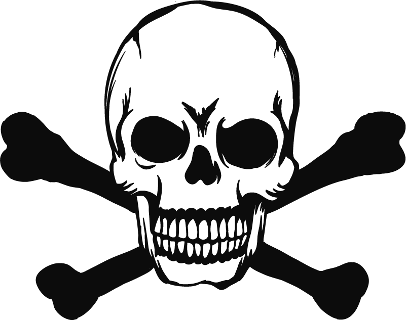 Halloween vinyl teppe med hodeskalle til bil - Tenstickers