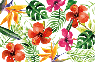 Fargerik monstera vinyl teppe blomster og planter - Tenstickers