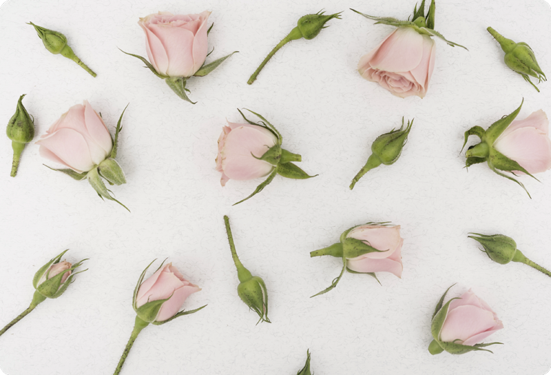 Romantisk vårblomst vinyl teppe blomster og planter - Tenstickers