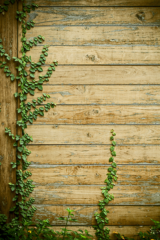 Vinstokker på tre vinyl teppe blomster og planter - Tenstickers