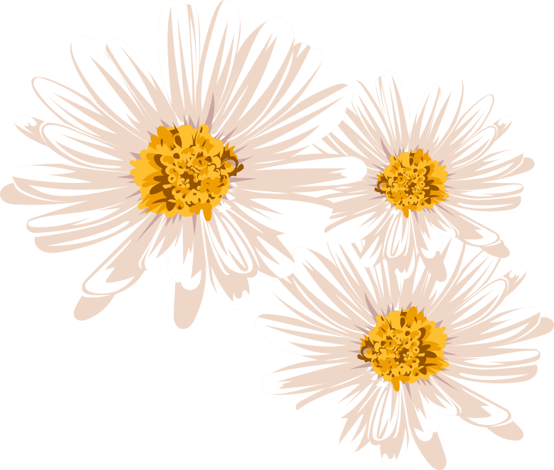 Sjarmerende blomsteroppsett vinyl teppe blomster og planter - Tenstickers