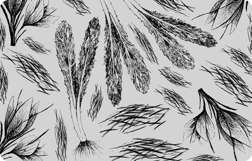 Tørt grått mønster vinyl teppe blomster og planter - Tenstickers