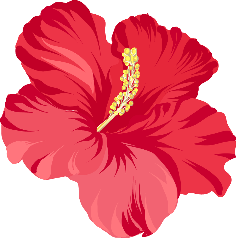 Vinyl teppe blomster og planter rød hibiscus sett - Tenstickers