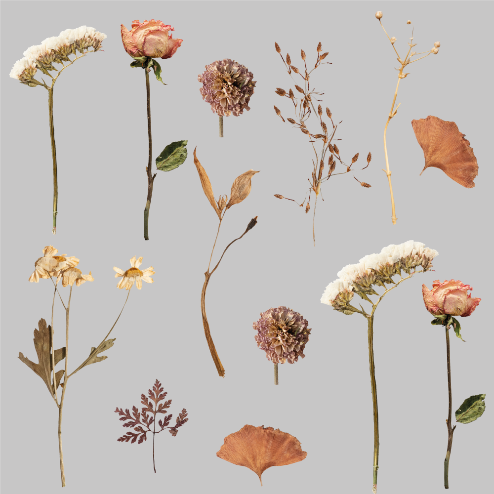 Tørkede blomster og blader vinyl teppe blomster og planter - Tenstickers