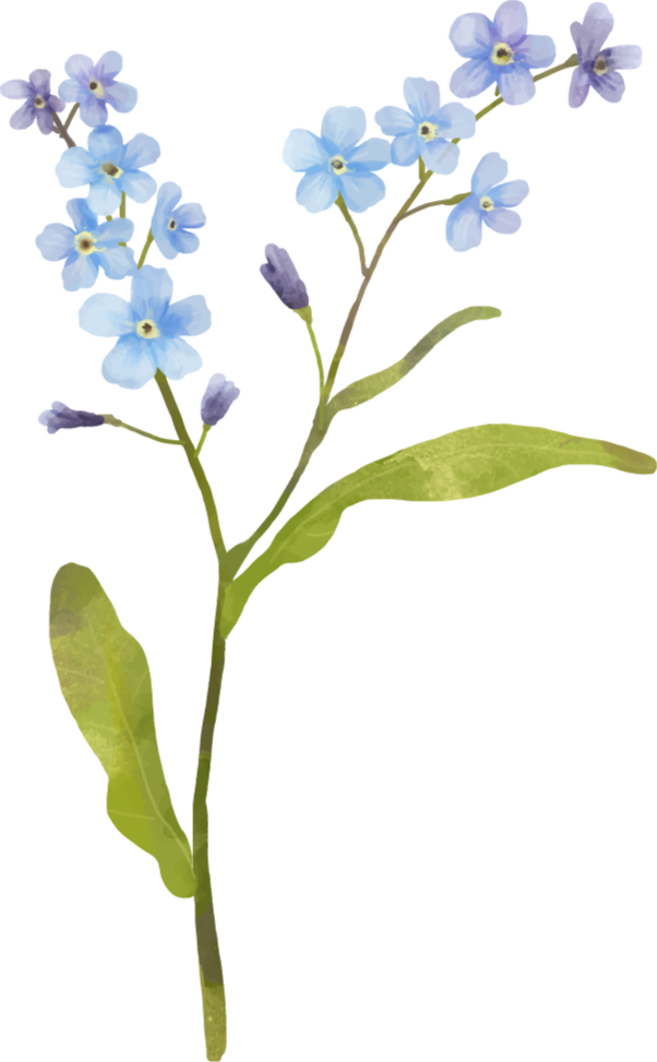 Vinyl teppe blomster og planter i blått design - Tenstickers
